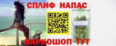 хмурый Бийск