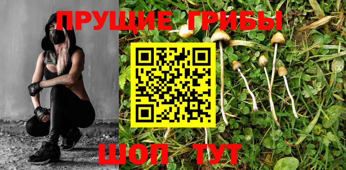 Галлюциногенные грибы мухоморы  Вход с VPN  Грозный 