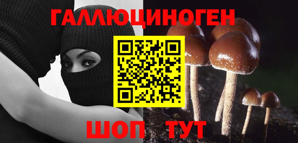 Галлюциногенные грибы ЛСД Грозный